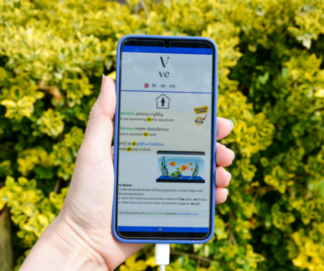 Czech Preposition V